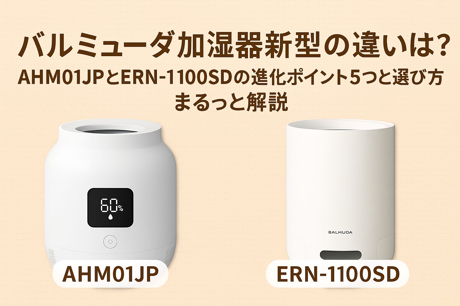 バルミューダのAHM01JPとERN-1100SDの違い